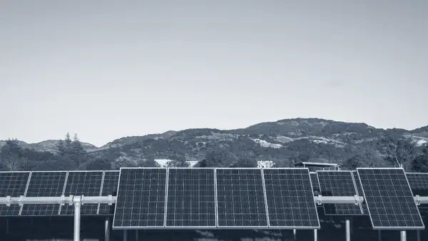 Filas de paneles solares en un campo